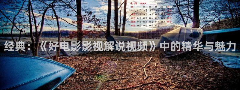 国产视频精品久久久久