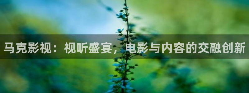 久久久久久久久久影院