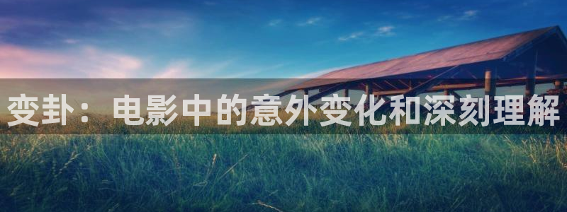 久久久久久a级视频