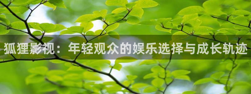 久久视频国产在线