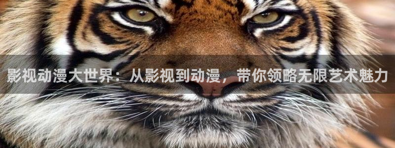 久久久久视频免费观看