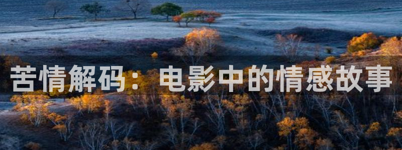 久久久电影