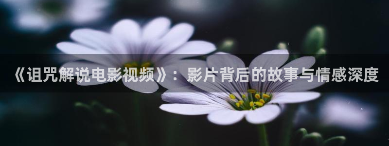 午夜看片久久久