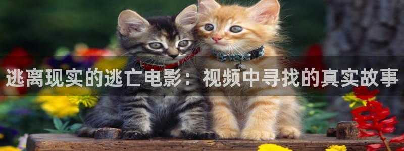 久久久久久久精品电影