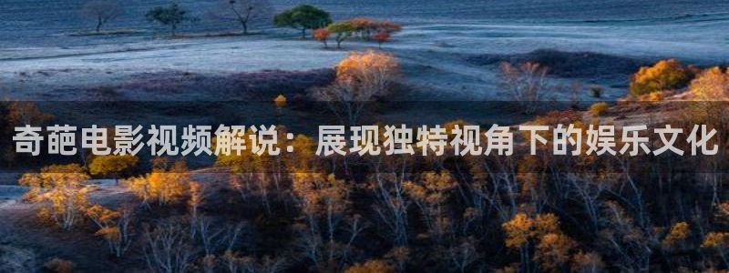 久久久久久成人免费视频