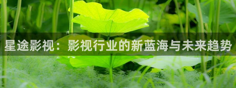 久久视频久久视频99视频