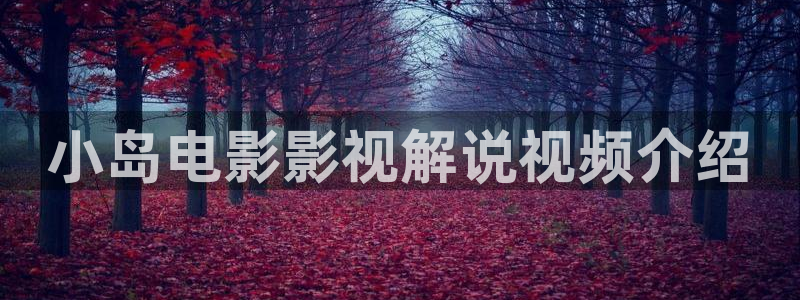 久久久.com