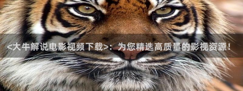 久久视频这里只精品18
