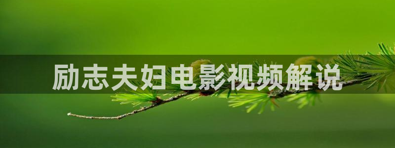 久久久精品电影免费看