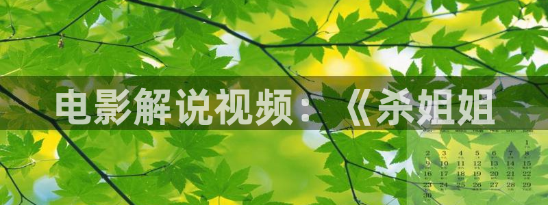精品久久久久视频