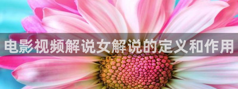 久久视频精品在线免费