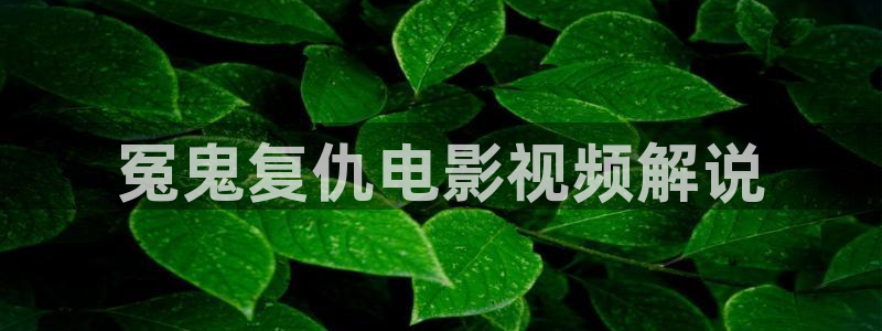 久久视频这里都是精品