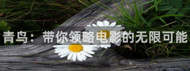 久久视频国产免