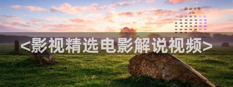 久久久久久国产精品视频