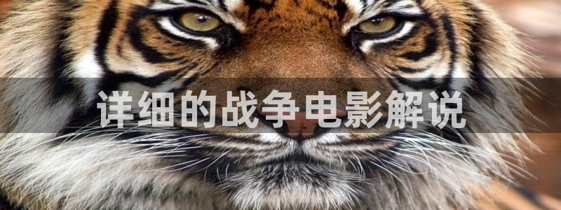 亚洲久久久影院