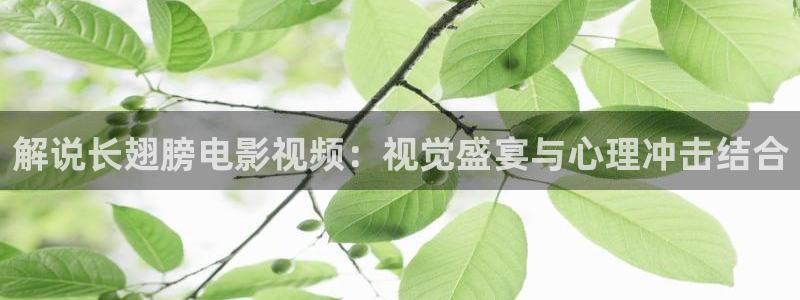 久久视频在线.