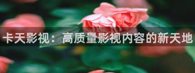 国产精品久久久久久精品电影