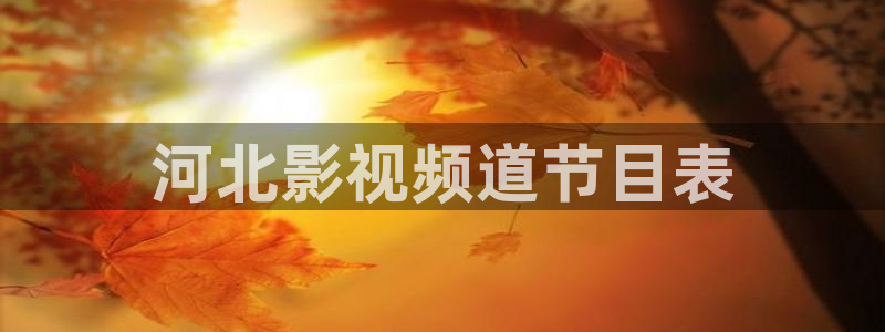 久久久久久久久电影：河北影视频道节目表