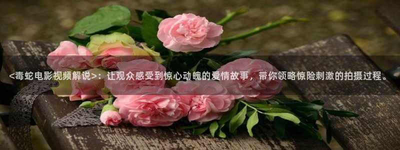 久久久精品影院最新地址：<毒蛇电影视频解说>：让观众感受到惊心动魄的爱情故事，带你领略惊险刺激的拍摄过程。