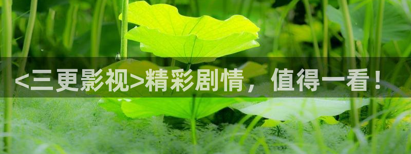 久久视频九九热视频：<三更影视>精彩剧情，值得一看！