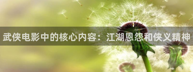 国产精品久久久久影院优：武侠电影中的核心内容：江湖恩怨和侠义精神