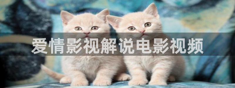 久久久不停影院：爱情影视解说电影视频