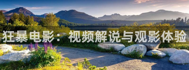 久久视频有精品久：狂暴电影：视频解说与观影体验