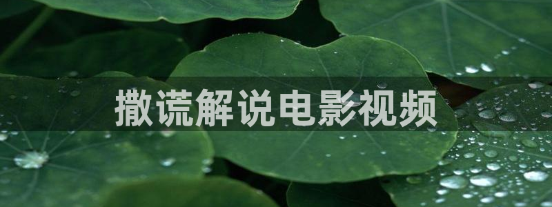 久久久最新视频：撒谎解说电影视频