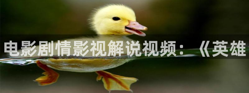 久久久久久久久久久精品电影：电影剧情影视解说视频：《英雄