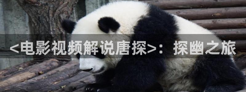 啊久久视频：<电影视频解说唐探>：探幽之旅