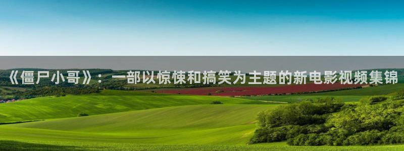 91久久视频精品：《僵尸小哥》：一部以惊悚和搞笑为主题的新电影视频集锦