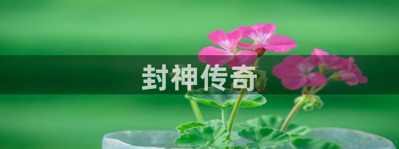 久久久久黄色录像：封神传奇