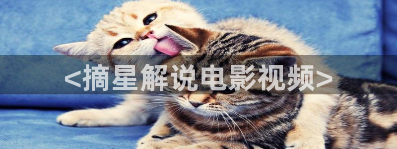 精品免费久久视频：<摘星解说电影视频>