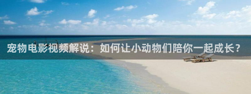 高清国产视频久久久久：宠物电影视频解说：如何让小动物们陪你一起成长？