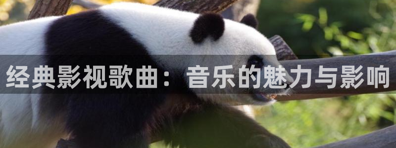久久视频爱爱：经典影视歌曲：音乐的魅力与影响