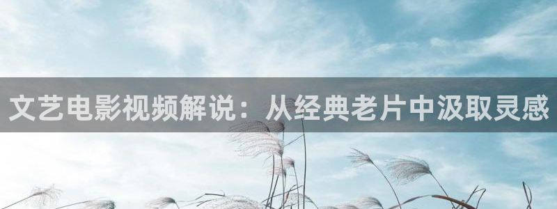 精品影视久久久久久久久：文艺电影视频解说：从经典老片中汲取灵感