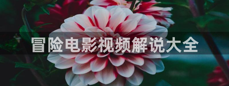 久久视频在线视频观看精品15：冒险电影视频解说大全