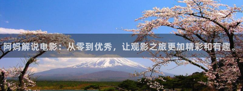久久视频在线观看91：阿妈解说电影：从零到优秀，让观影之旅更加精彩和有趣。