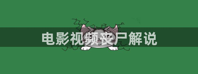 久久视频精品2