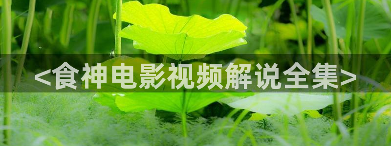 18久久视频：<食神电影视频解说全集>