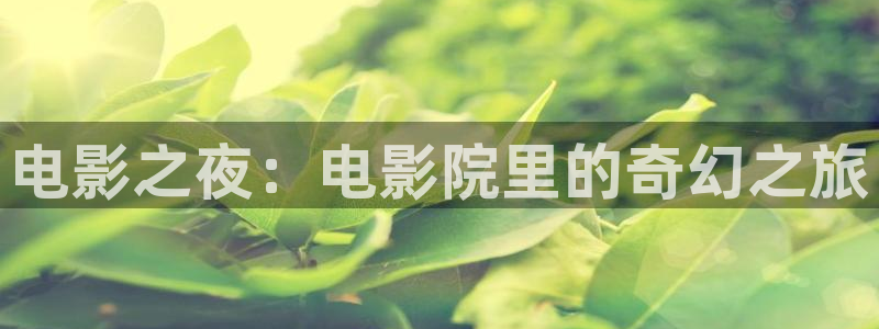 国产久久久久视频