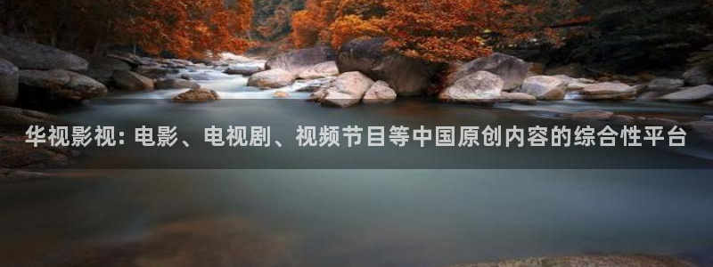 另类久久视频