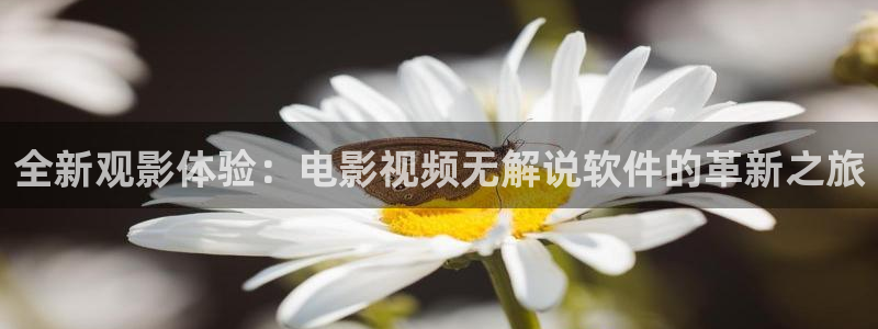 久久久久久久精品电影